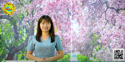 BẢN TIN VIỆC LÀM CẦN THƠ - [THÁNG 2- NĂM 2023]	